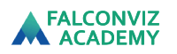 FalconViz Academy
