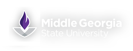 Middle Georgia State University (School of Aviation)